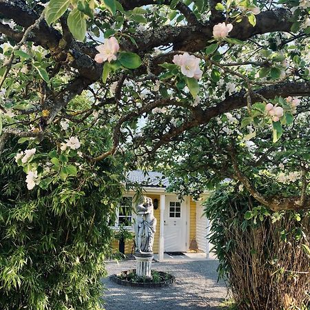 Villa Sol B&B And Hostel Borgholm Exteriér fotografie